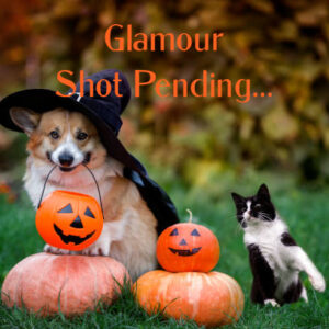 Glamour shot halloween