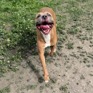 Gracie, 766